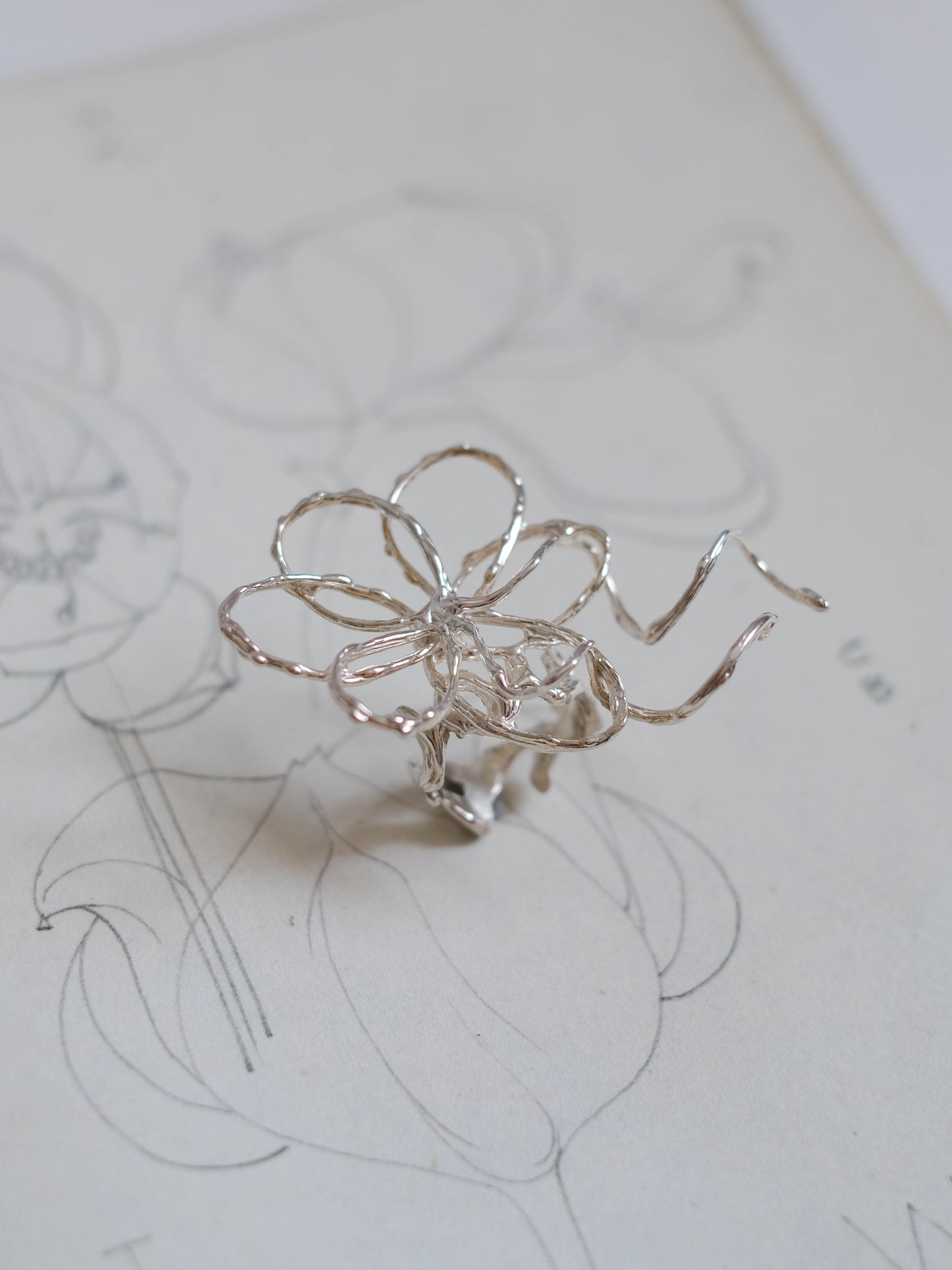 A sketch of a flower pt. 1