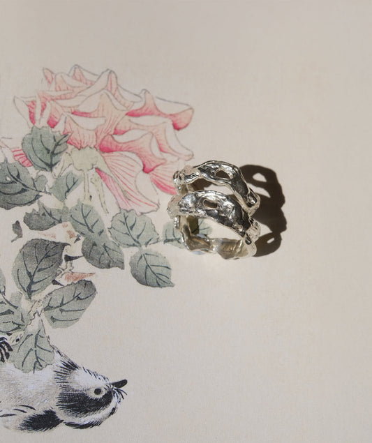 The story of Adam and Eve