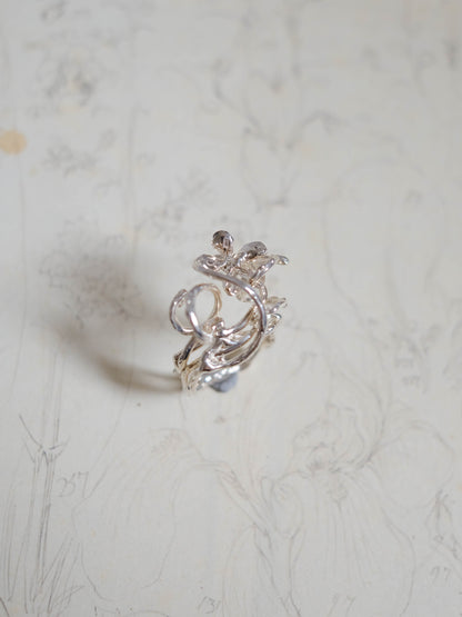 From the ground ring