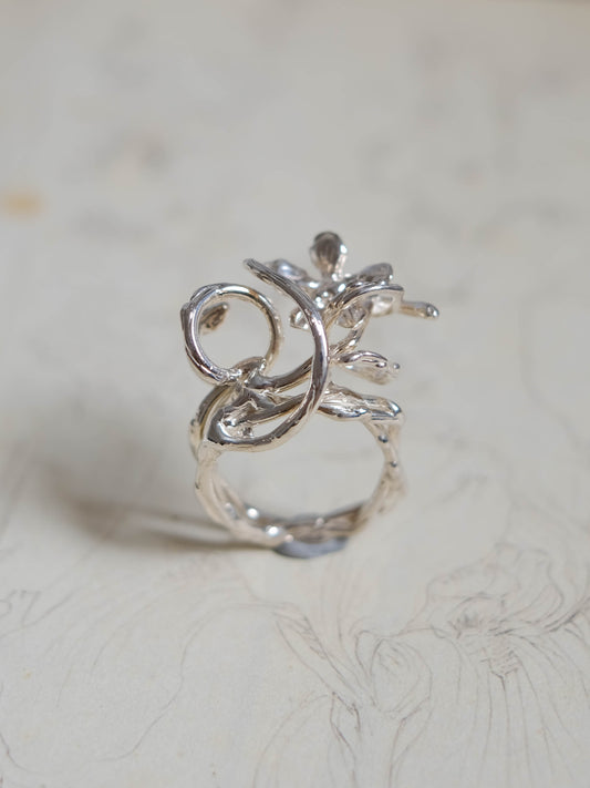 From the ground ring