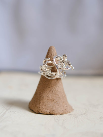 From the ground ring