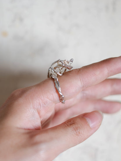 From the ground ring