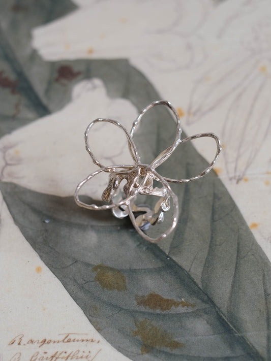 A sketch of a flower pt. 2