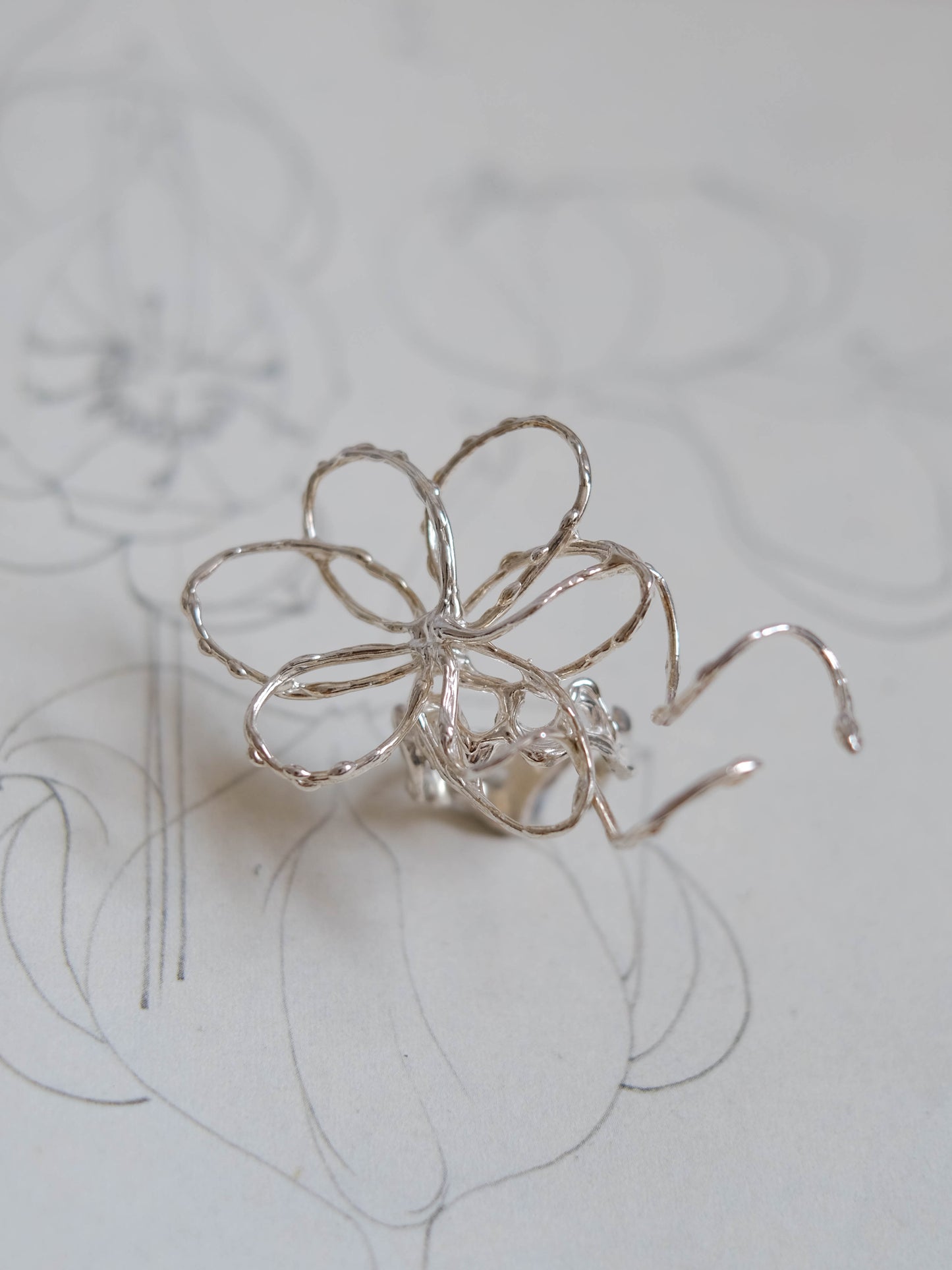 A sketch of a flower pt. 1