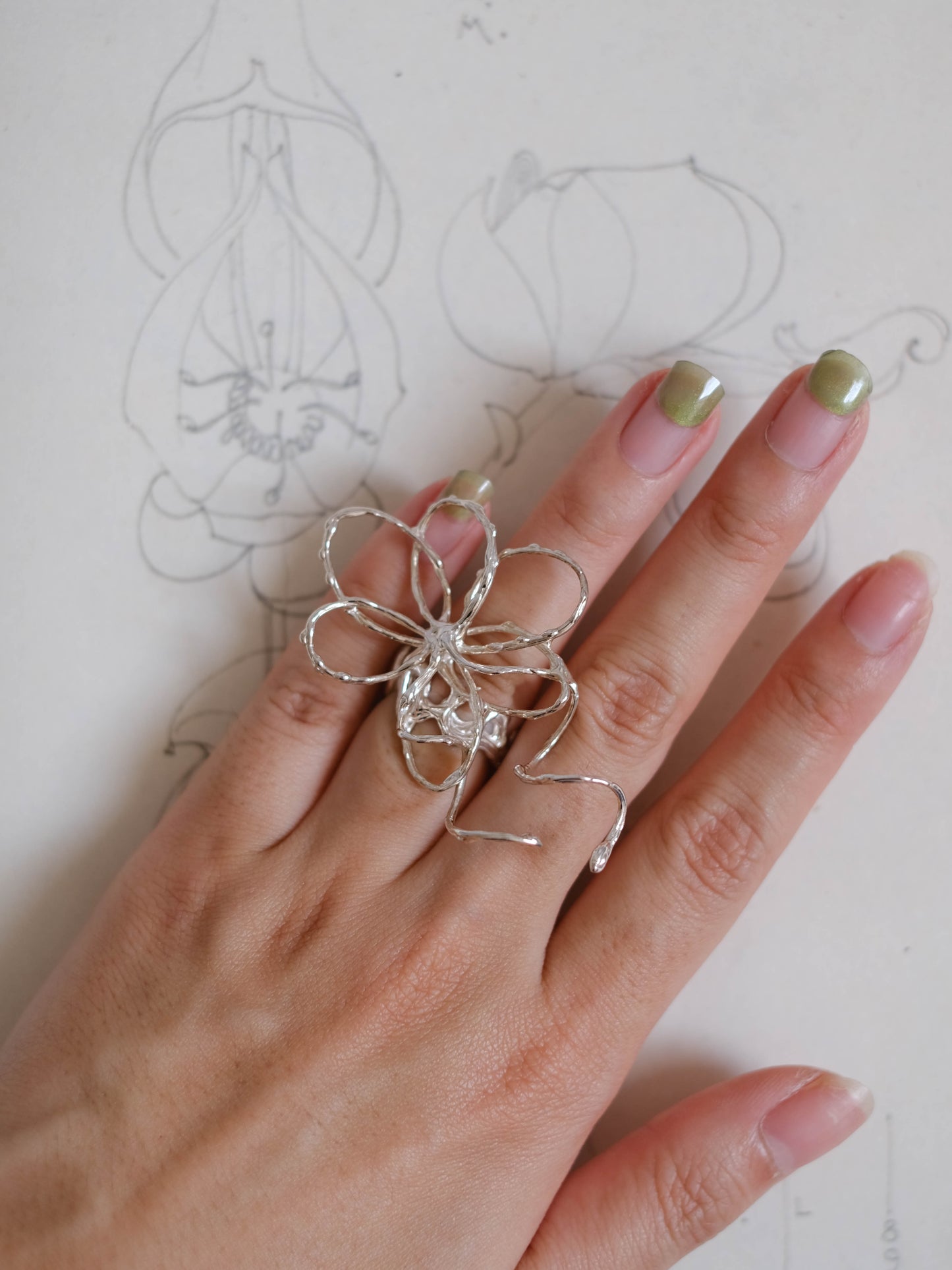 A sketch of a flower pt. 1