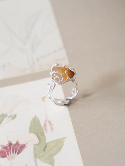 Echo ring