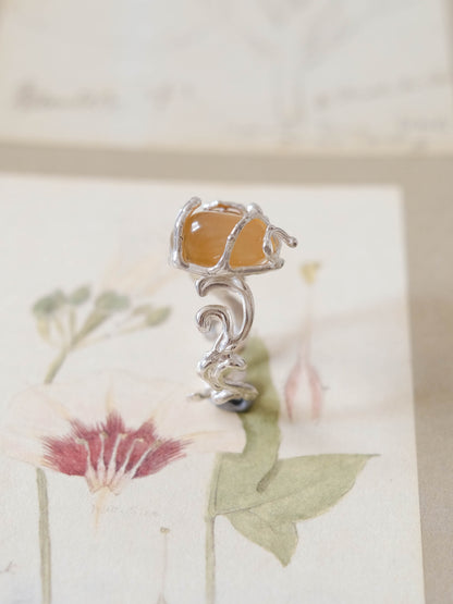 Echo ring