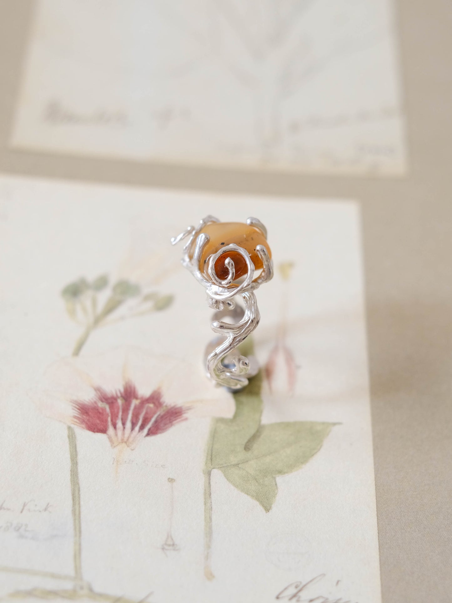 Echo ring