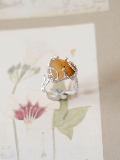 Echo ring