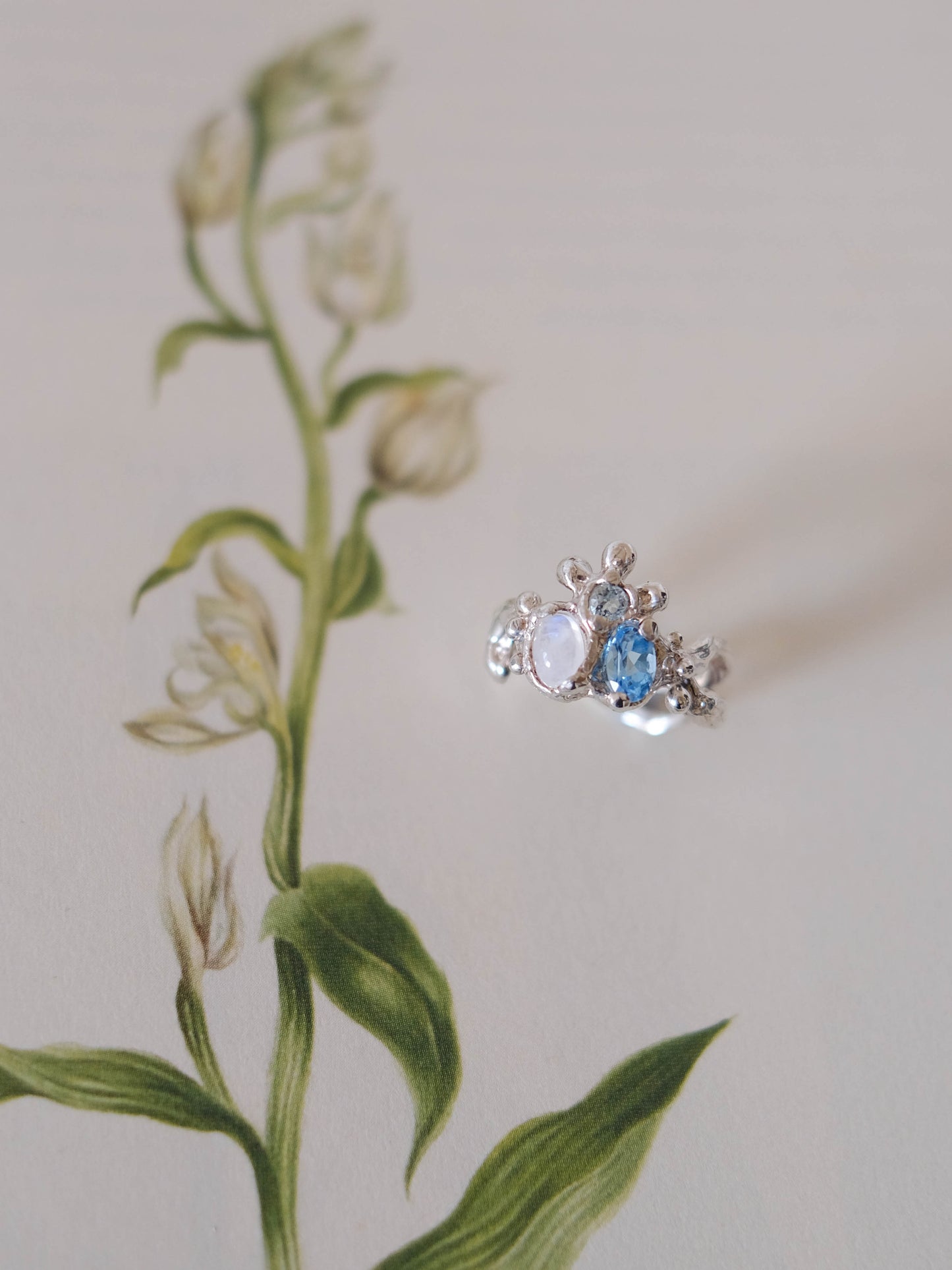 Reflection ring