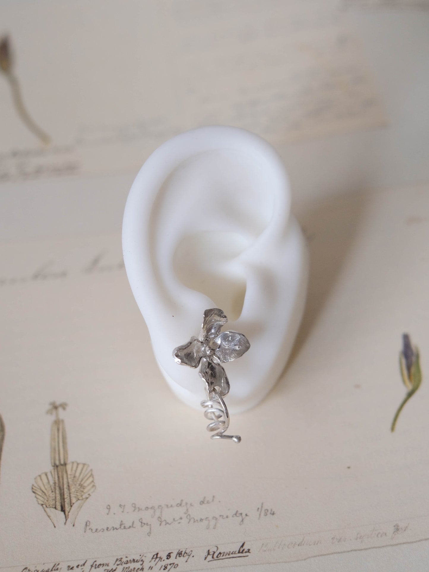 Spiral earrings